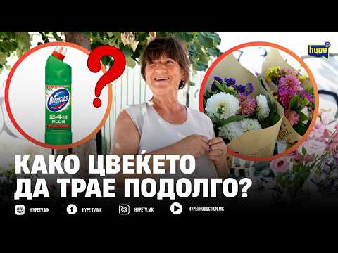 DOMESTOS za cveḱinjata da traat podolgo? OVA ḱe ve iznenadi, MAL TRIK za DOLGOVEČNOST!