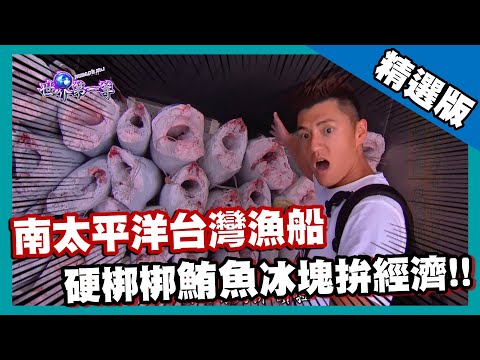 【東加王國】南太平洋台灣漁船 下探魚艙極凍體驗｜《世界第一等》533集精華版