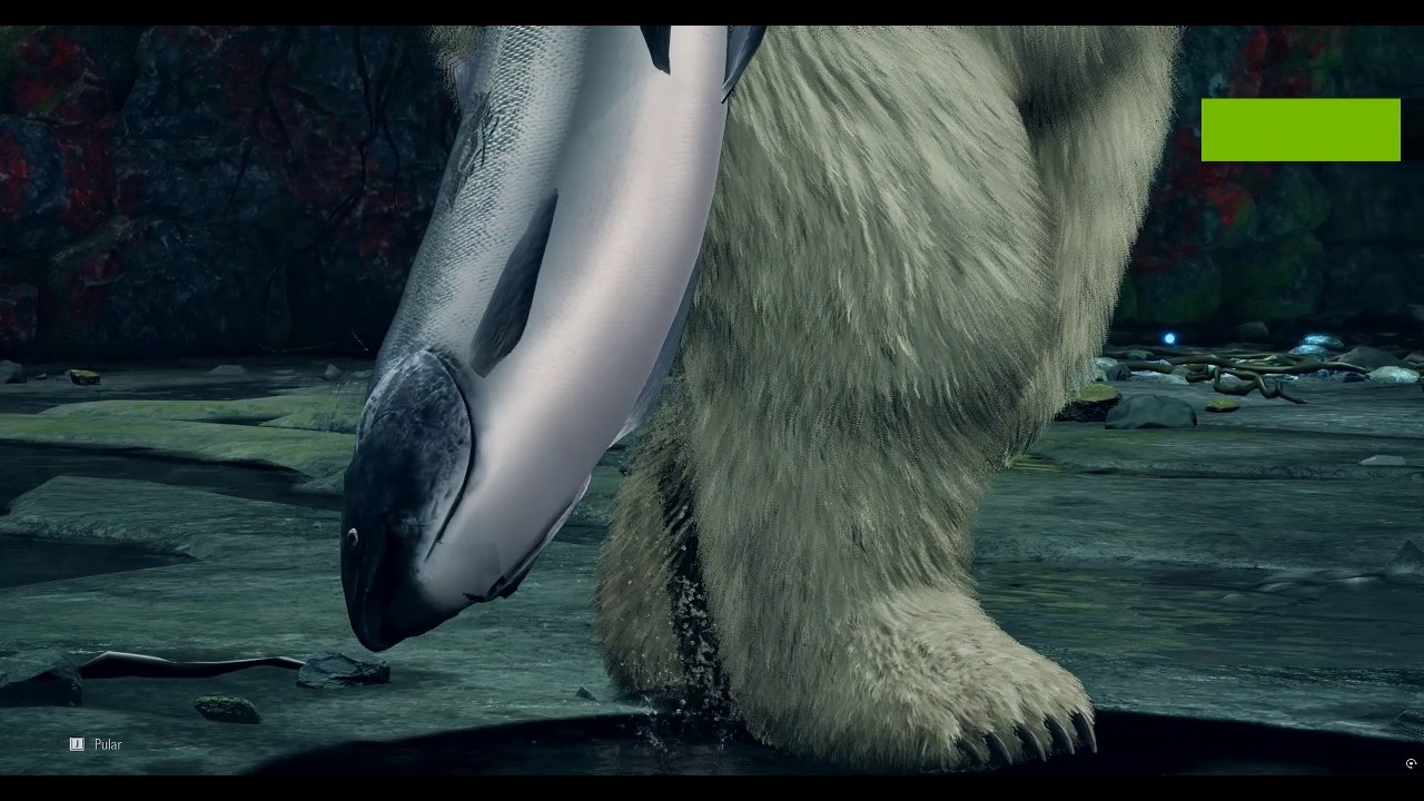 tekken8 I like Bears! (🐻 Players) Great Tijuco Preto 第9戦 - YouTube