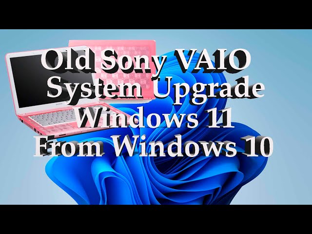 Everyday IT Worker #3- Updating Windows 10 to WIndows 11 on the