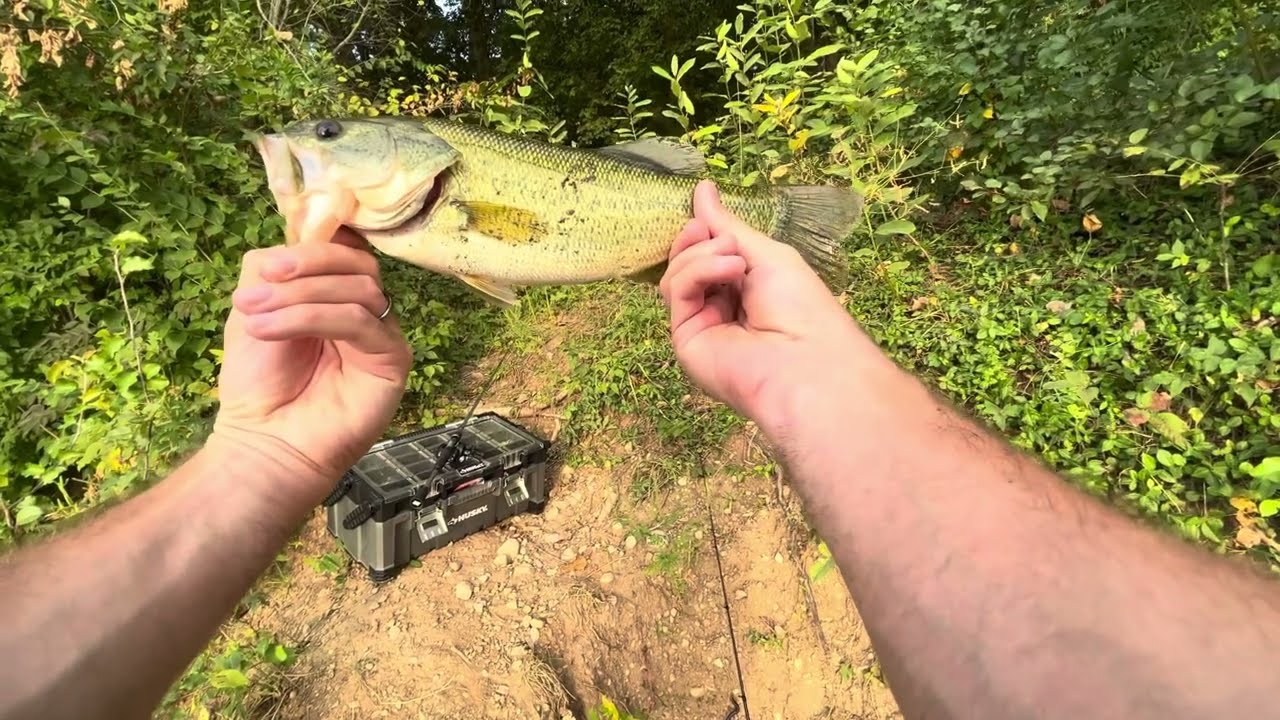 The Agony and Ecstasy of Bass Fishing