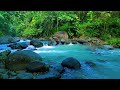 Beautiful Stream Sounds - Forest Ambience for Peaceful Sleep, Rest, Focus Study, and Medicine