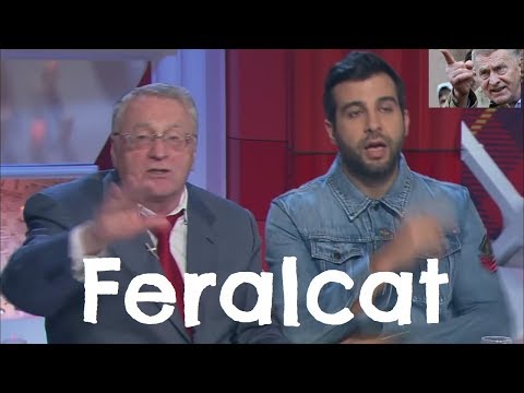 Видео: Feralcat – Вихри враждебные АХТУНГ над нами! (feat. Владимир Жириновский)