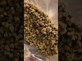 How Bulk THCA Flower Creates Margin | Distributor Level USA