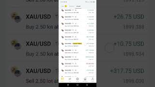 Exness: Take Your Trading to the Next Level | Smart Trading Starts Here