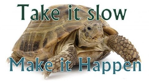 Blargh! Spelunky - A Run Without Running