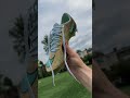 Les nouvelles Nike superfly Mbappe 👀