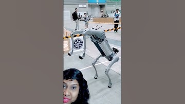 UNITREE B2 AI ROBOT 🤖