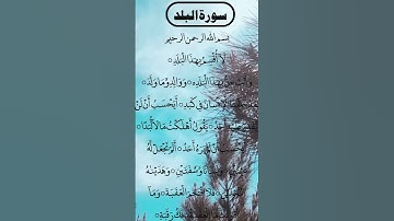 Most Beautiful Voice SURAH AL BALAD سورة البلد #egzonibrahimi #quran #surahalbalad #albalad