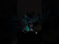 Tree of life night time projections #animalkindom #disneyworld #treeoflife #waltdisneyworld #disney
