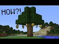 Minecraft UHC but trees drop GOLDEN APPLES...