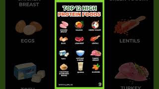 Top 12 High Protein Foods