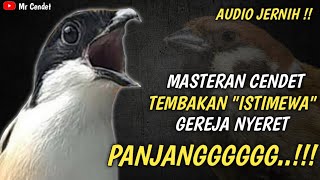 MASTERAN CENDET TEMBAKAN ISTIMEWA || GEREJA NYERET PANJANG !!