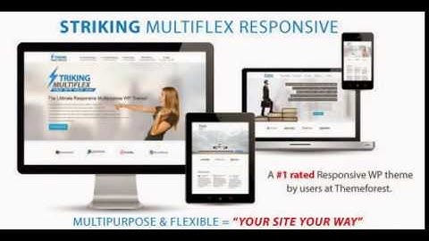 Striking MultiFlex & Ecommerce Responsive WP Theme Free Download