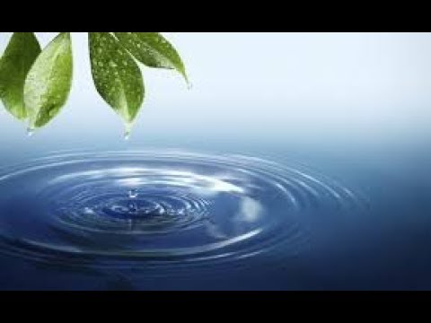 TROC4.5 Challenge 2 : Water - Found on noxinfluencer