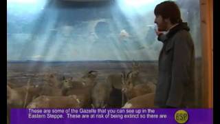 S4E16P3 - Fun Things To Do In Ub.mp4