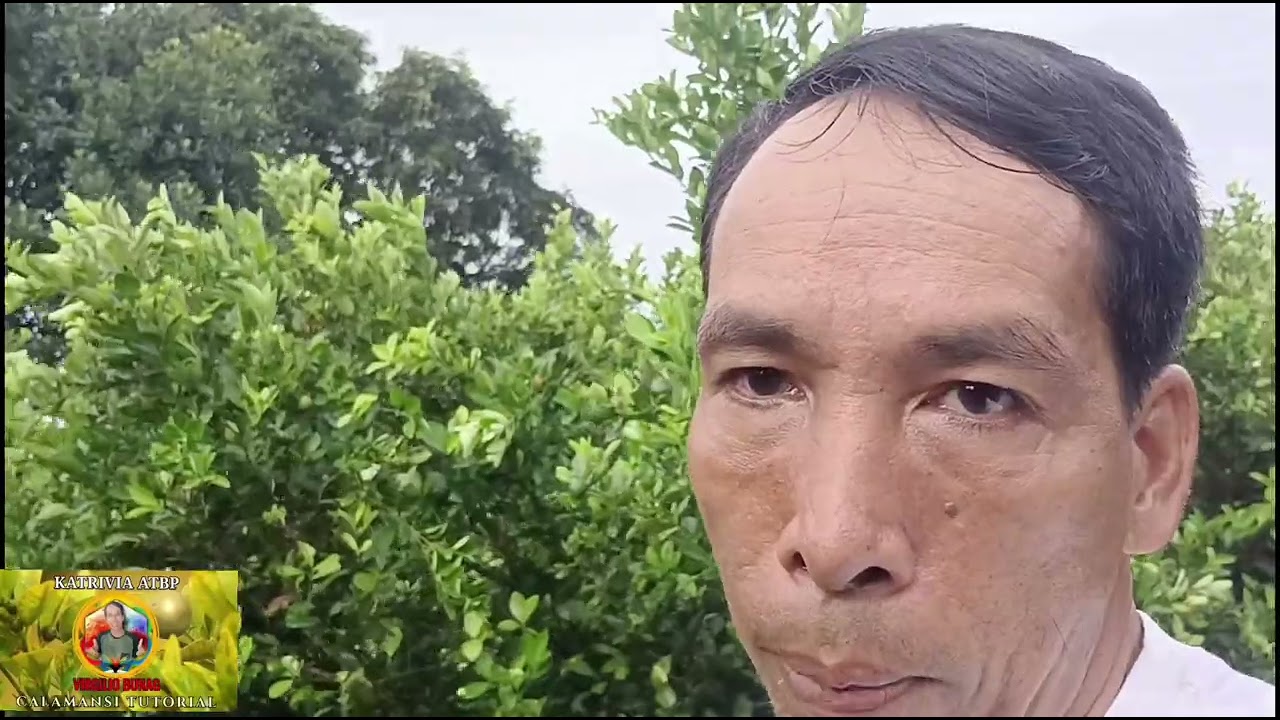 LIBRENG PATUBIG TAYO MONITOR SA PRESYO NG CALAMANSI 