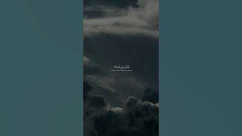 محمد اللحيدان - سورة الفرقان | وكان الله غفورا رحيما #قرآن #اكسبلور #تلاوة خاشعة #راحة_نفسية