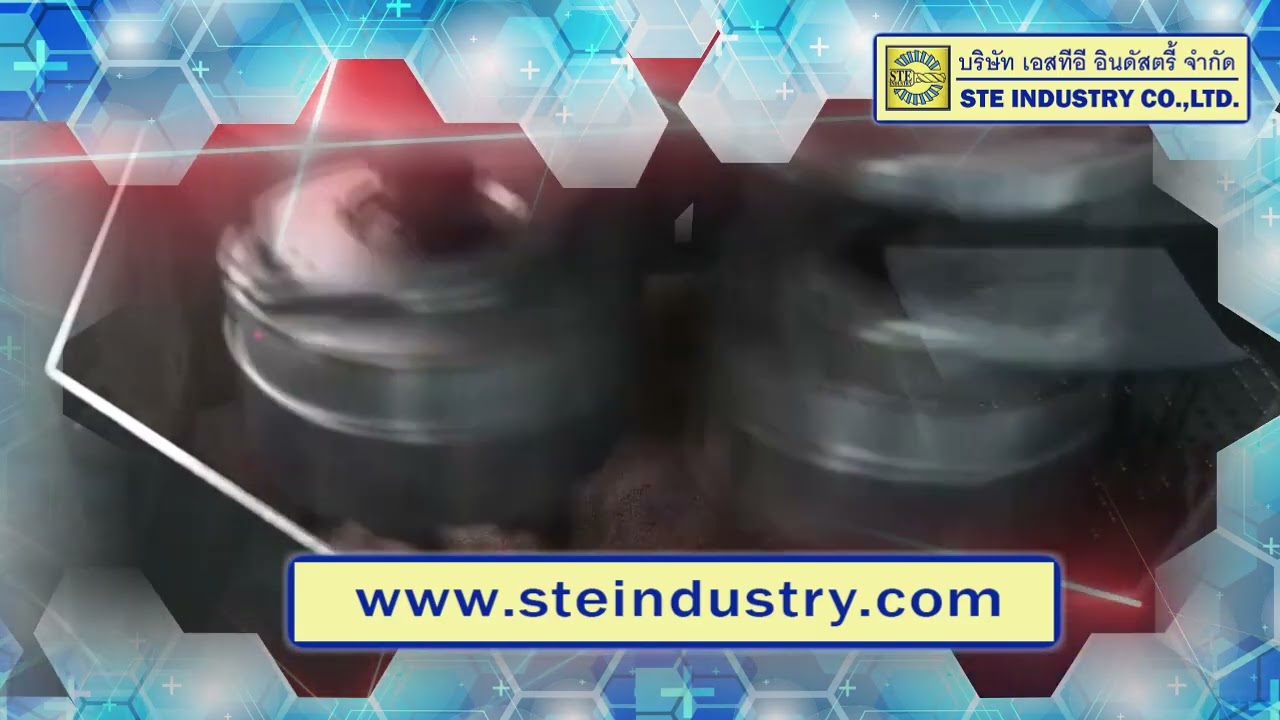 STE INDUSTRY SERVICE