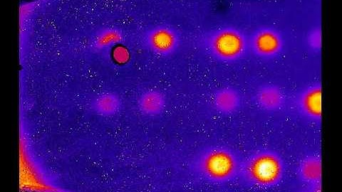 Binding onto copied protein microarray