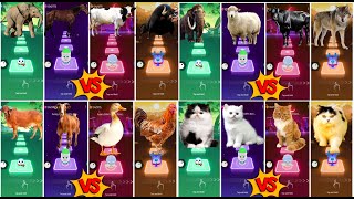 Funny Cows Dance🆚Funny Elephant All🆚Funny Ferdinand🆚Funny Zebra All🆚Funny Horses💫Lets See 🎶👍 screenshot 3