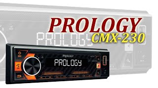 Prology CMX 230 год эксплуатации
