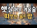 Cafe Playlist Nostalgic 7080 Pop Songs 20 Faint Old Pop Classics In The Winter ForestㅣStore Music Cafe Playlist Nostalgic 7080 Pop Songs 20 Faint Old Pop Classics In The Winter ForestㅣStore Music