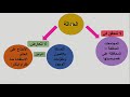 دعم ومراجعة ــ السنة أولى باكالوريا ــ مهارة توسيع فكرة
