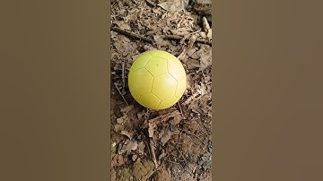 egg and snails and squid game #egg #squidgame2 #squidgame #snails