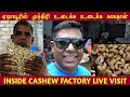 See how the edravur cashew factory works inside cashew factory live visit  eravur