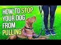 HOW TO STOP YOUR DOG FROM PULLING