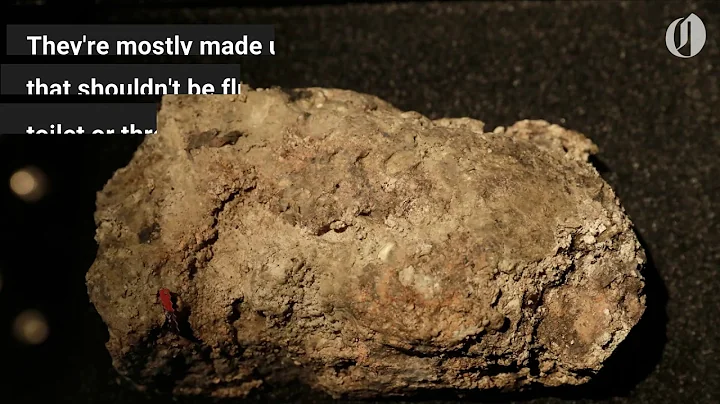 London live-streamed a rancid fatberg