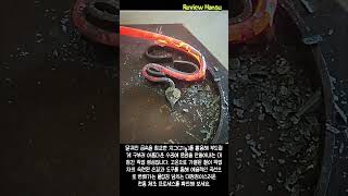 대장간에서 지그(Jig)로 정밀하게 쇠를 굽히는 수공예 제조 기술 #worker #process #blacksmithing #tools #diy