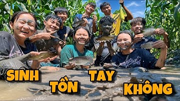 Anh Ba Phải | Sinh Tồn Mò Cua Bắt Cá Tay Không