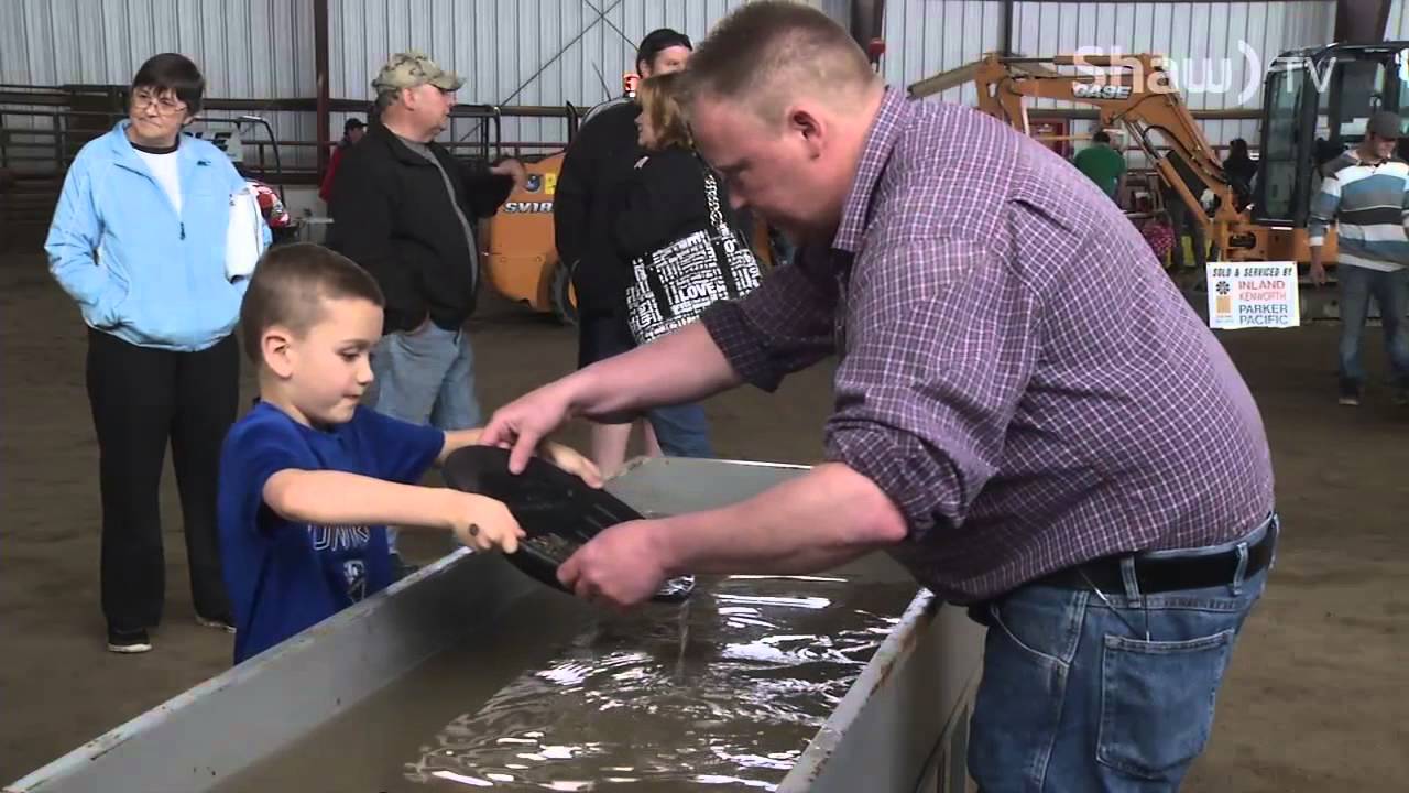 Panning For Gold Quesnel Gold Show 2015 YouTube