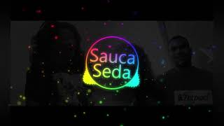 Sauca Seda - Ilaisa Radaveta [DJ GABBY REMIX x ZACKOLZ MUZIC]