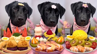 Ate two bags today? #Black Labrador #EatingBroadcast