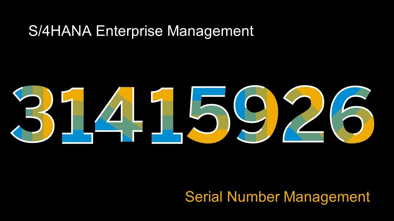 SAP S/4HANA - Serial Number Management 