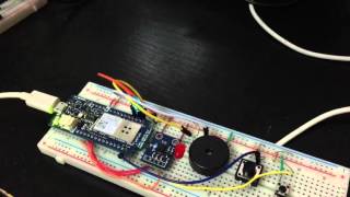 Fall detection system
