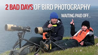 BIRD PHOTOGRAPHY in bad conditions | 2 Days of waiting paid off