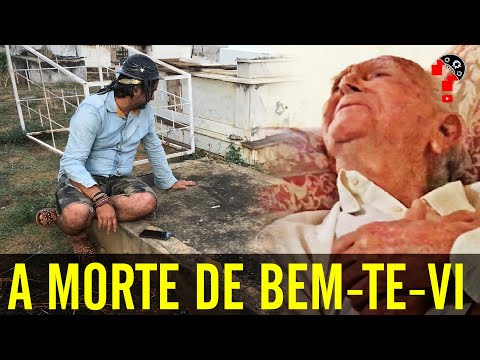 A MORTE DE BEM-TE-VI | CNL | CAPÍTULO FINAL