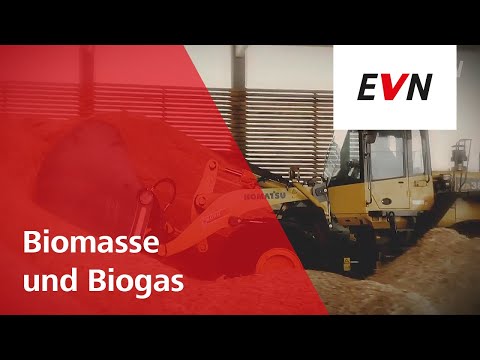 Was ist Biomasse und was ist Biogas?