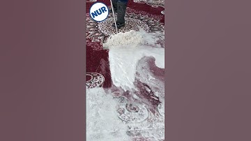 Foam scraping #45 #satisfying #asmr #carpetcleganin #shorts #carpetcleaning #oddlysatisfying