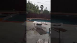 Our wild weather today in monrovia ca