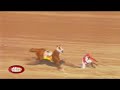 Scary fall for champion jockey Shane Ellis & more! | At The Track | Sept 8, 2016