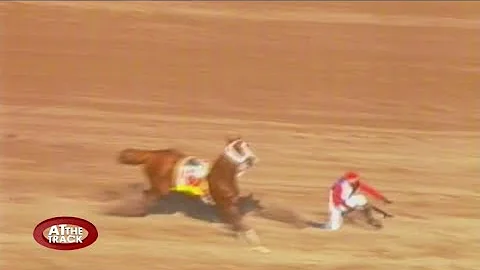 Scary fall for champion jockey Shane Ellis & more!...