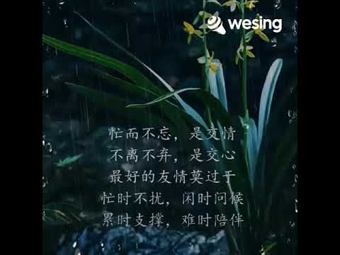 《留什么给你》