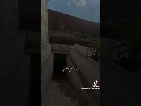 قولت مش هتسبنى