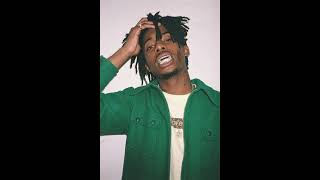24 SONGS - playboi carti (cant believe we made it this far)