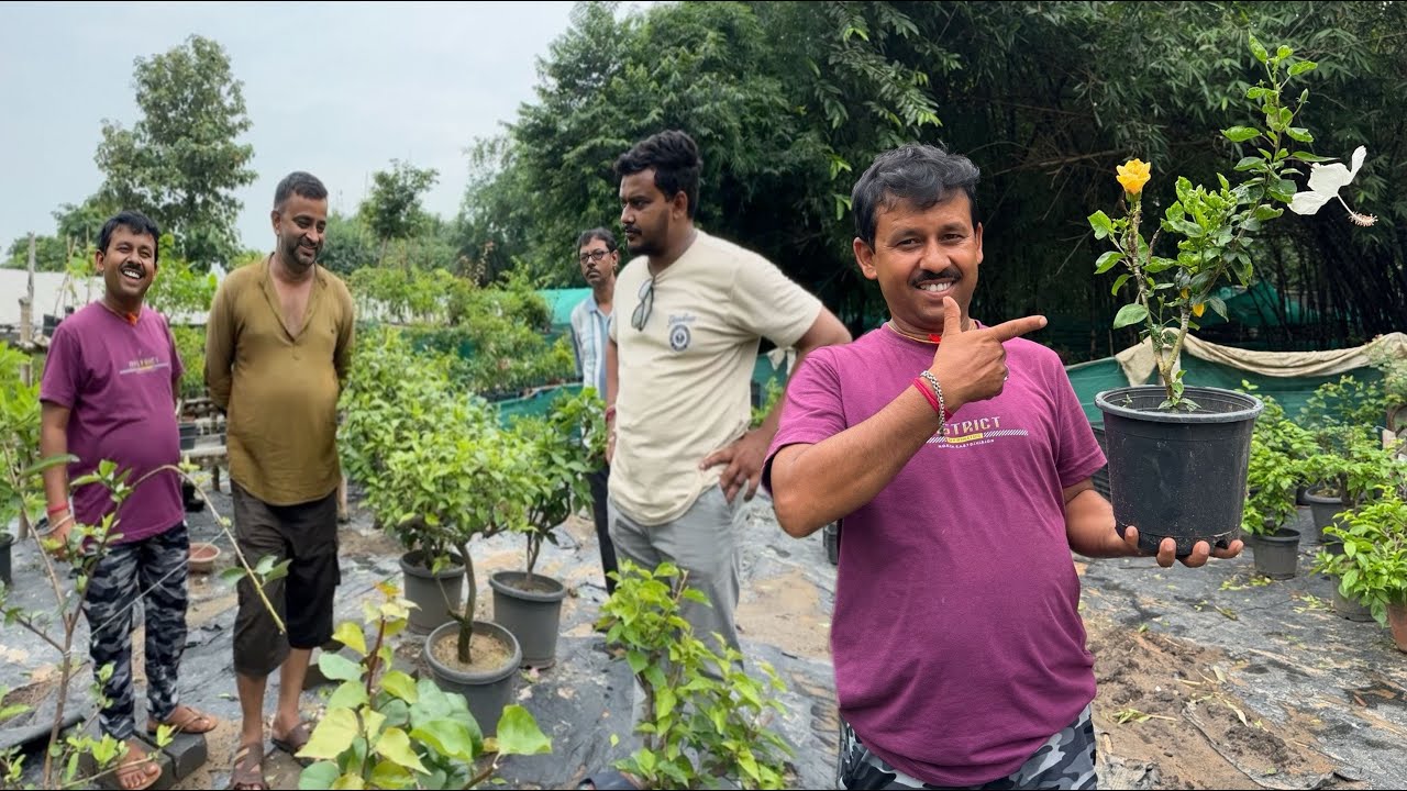 অনেক বড় কিছু হতে চলেছে 😊 ||